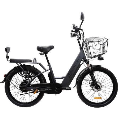 Электровелосипед Ecoliner e-Alfa 24 48V 500W 14AH